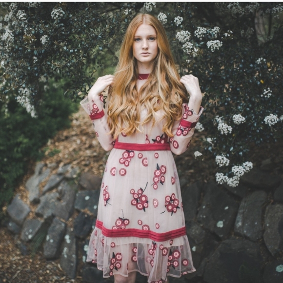 Endless Rose Dresses & Skirts - Endless Rose NWT Sheer Embriodered Floral Dress Medium